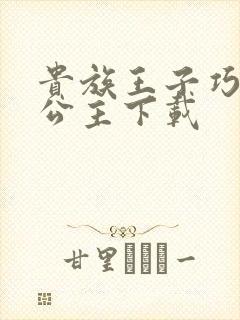 贵族王子巧遇穷公主下载