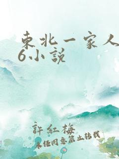 东北一家人1一6小说