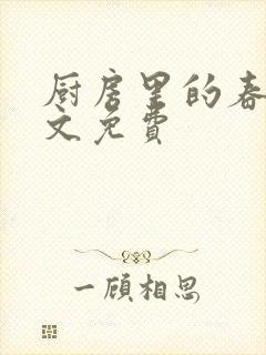 厨房里的春天全文免费