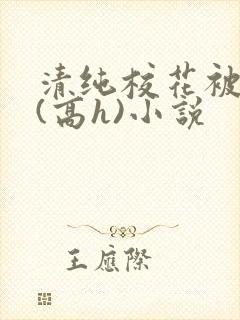 清纯校花被调教(高h)小说