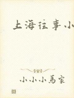 上海往事小说