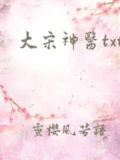 大宋神医txt
