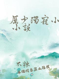 厉少独宠小娇妻 小说