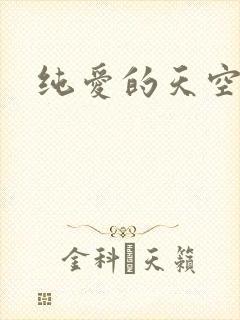 纯爱的天空