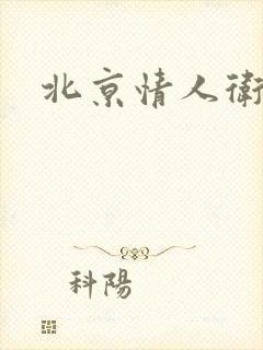 北京情人卫慧