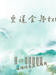 皇道金丹txt