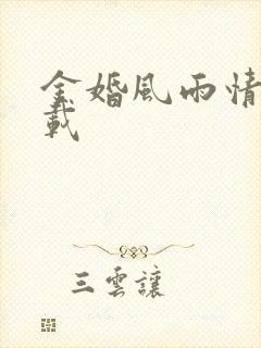 金婚风雨情 下载