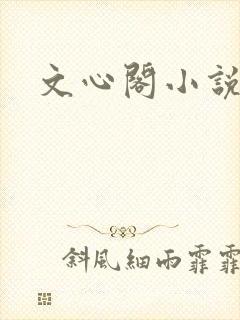 文心阁小说