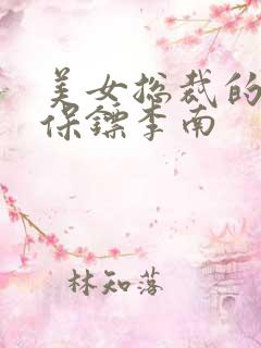 美女总裁的护花保镖李南