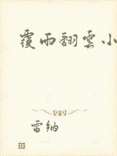 覆雨翻云小说