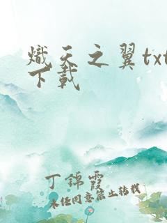 炽天之翼txt下载