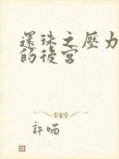 还珠之压力山大的后宫