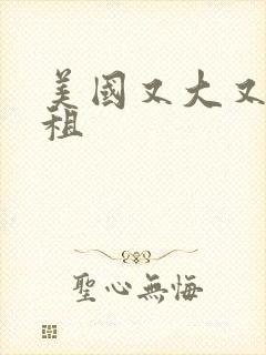 美国又大又长又租