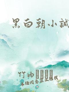 黑白朝小诚