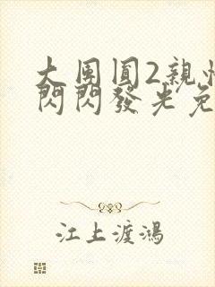 大团圆2亲情会闪闪发光免费