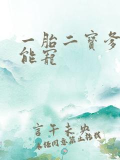 一胎二宝爹地超能宠