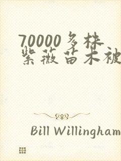 70000多株紫薇苗木被强毁