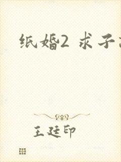 纸婚2 求子记