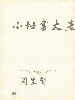 小秘书大老婆