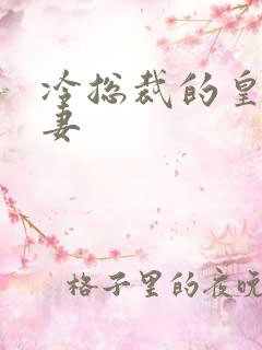 冷总裁的皇后暖妻