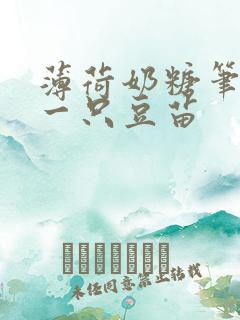 薄荷奶糖笔趣阁一只豆苗