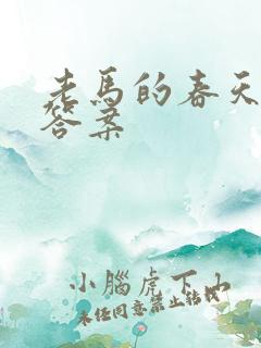 老马的春天阅读答案