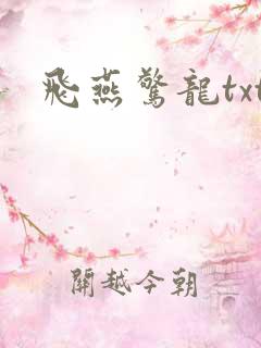 飞燕惊龙txt