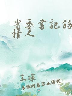 省委书记的秘密情人