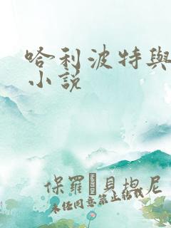 哈利波特与密室小说