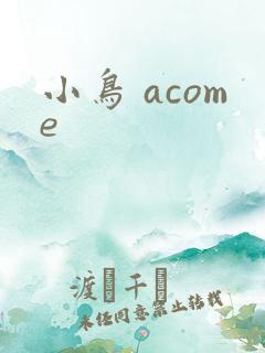 小鸟 acome