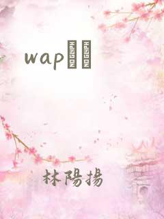 wapС˵