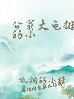 公翁大龟挺进我的小