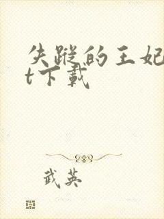 失踪的王妃txt下载