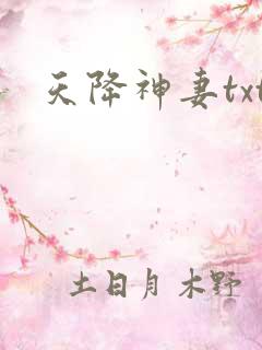 天降神妻txt