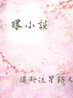 眼小说