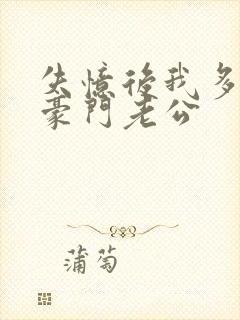 失忆后我多了个豪门老公