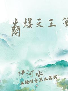 火爆天王 笔趣阁