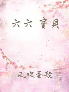 六六 宝贝