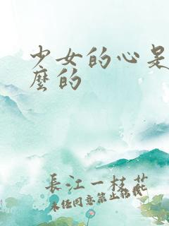 少女的心是讲什么的