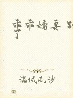 乖乖娇妻 别闹了