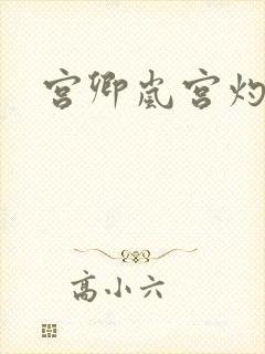 宫卿岚宫灼小说