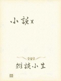 小说x