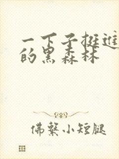 一下子挺进浓密的黑森林