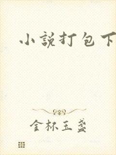 小说打包下载