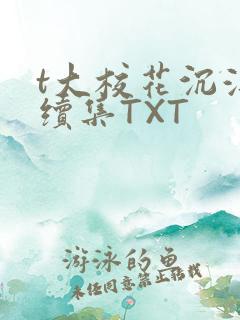 t大校花沉浮录续集TXT