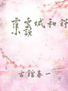 霍云城和舒情的小说