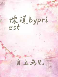坏道bypriest