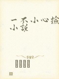一不小心捡到爱小说