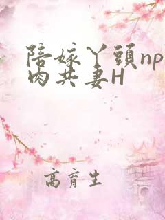 陪嫁丫头np全肉共妻H