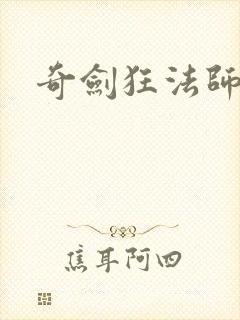 奇剑狂法师下载